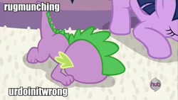 Size: 960x540 | Tagged: safe, derpibooru import, edit, edited screencap, screencap, spike, twilight sparkle, twilight sparkle (alicorn), alicorn, dragon, pony, hub logo, image macro, rug