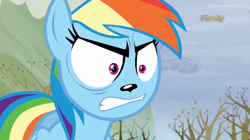 Size: 1024x572 | Tagged: safe, derpibooru import, edit, edited screencap, screencap, rainbow dash, dog, tanks for the memories, do i look angry, dogified, photoshop, solo, species swap