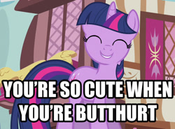 Size: 852x630 | Tagged: safe, derpibooru import, twilight sparkle, butthurt, caption, image macro, reaction image, smiling, solo