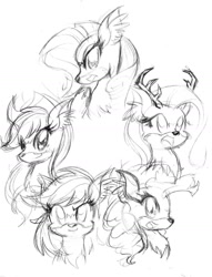 Size: 1106x1447 | Tagged: safe, artist:danmakuman, derpibooru import, applejack, fluttershy, pinkie pie, rainbow dash, rarity, twilight sparkle, deer, deerified, lineart, mane six, monochrome, species swap