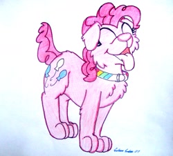 Size: 1266x1146 | Tagged: safe, artist:silversimba01, pinkie pie, dog, collar, dogified, puppy pie, solo, species swap, traditional art