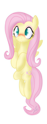 Size: 547x1427 | Tagged: safe, artist:zenit007, fluttershy, pegasus, pony, blushing, female, mare, solo