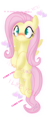 Size: 547x1427 | Tagged: safe, artist:zenit007, fluttershy, pegasus, pony, blushing, flutterlove, solo