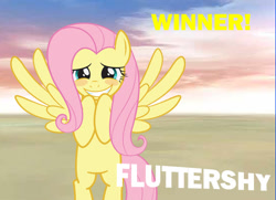 Size: 550x399 | Tagged: safe, fluttershy, pegasus, pony, solo, super smash bros., super smash bros. 4, victory, victory screen