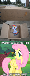 Size: 513x1273 | Tagged: safe, derpibooru import, fluttershy, rainbow dash, pegasus, pony, fanfic:pattycakes, exploitable meme, fluttermom, good people finding dash meme, meme, this can only end well, unfortunate implications