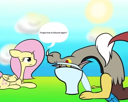 Size: 5000x4000 | Tagged: safe, artist:suenden-hund, discord, fluttershy, pegasus, pony, but why, toilet