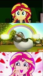 Size: 674x1186 | Tagged: safe, edit, screencap, sunset shimmer, bird, penguin, eqg summertime shorts, equestria girls, pet project, adelie penguin, cute, meme, private, shimmerbetes, shimmering the gecko, the penguins of madagascar