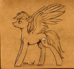 Size: 1407x1310 | Tagged: safe, artist:kirasunnight, derpibooru import, rainbow dash, pegasus, pony, monochrome, sketch, solo, traditional art