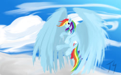 Size: 1024x639 | Tagged: safe, artist:nexsusthelaglyian, derpibooru import, rainbow dash, pegasus, pony, flying, solo, wings