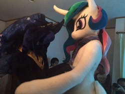 Size: 600x450 | Tagged: safe, princess celestia, princess luna, fursuit, irl, photo