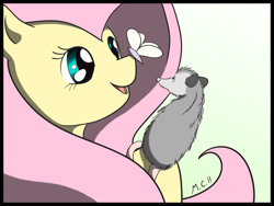 Size: 900x675 | Tagged: safe, artist:kiri-ri, fluttershy, opossum, pegasus, pony, female, mare, solo