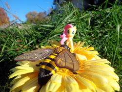 Size: 900x675 | Tagged: safe, artist:lee-sherman, fluttershy, bee, flower, irl, photo, toy