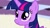 Size: 1280x720 | Tagged: safe, derpibooru import, screencap, twilight sparkle, twilight sparkle (alicorn), alicorn, pony, princess twilight sparkle (episode), adorkable, cute, dork, female, mare, solo