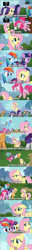 Size: 405x3200 | Tagged: safe, derpibooru import, screencap, applejack, fluttershy, pinkie pie, rainbow dash, rarity, twilight sparkle, twilight sparkle (alicorn), alicorn, earth pony, pegasus, pony, unicorn, it ain't easy being breezies, sonic rainboom (episode), female, mare