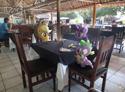 Size: 4488x3300 | Tagged: safe, artist:mrlolcats17, artist:ojhat, artist:sulyo, artist:vectorshy, applejack, spike, twilight sparkle, human, irl, photo, ponies in real life, restaurant, scroll, sitting, table, tea, vector