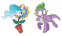 Size: 3024x1728 | Tagged: safe, artist:thecheeseburger, idw, princess celestia, spike, centaur, taur, centaur spike, dragontaur, frown, looking back, open mouth, raised hoof, raised leg, simple background, smiling, spike the taur, sunflower, transparent background, wat, wide eyes