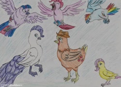 Size: 900x650 | Tagged: safe, artist:sketch-shepherd, derpibooru import, applejack, fluttershy, pinkie pie, rainbow dash, rarity, twilight sparkle, bird, chicken, dove, owl, parrot, peacock, birdified, falcon, mane six, my little x, peregrine falcon, species swap, traditional art