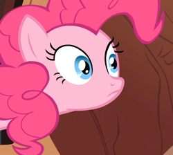 Size: 1204x1080 | Tagged: safe, screencap, pinkie pie, earth pony, pony, pinkie apple pie, solo, stare