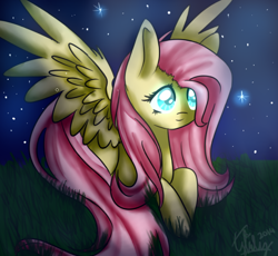 Size: 606x557 | Tagged: safe, artist:dark-little-airin, fluttershy, pegasus, pony, female, mare, solo, starry night