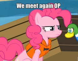 Size: 960x758 | Tagged: safe, screencap, pinkie pie, duck, earth pony, pony, pinkie apple pie, image macro, meme, op, op is a duck (reaction image), reaction image, solo