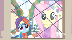 Size: 1920x1080 | Tagged: safe, derpibooru import, screencap, fluttershy, rainbow dash, pegasus, pony, best gift ever, clothes, cute, earmuffs, female, hat, looking at you, mare, scarf, snow, window