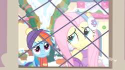 Size: 1920x1080 | Tagged: safe, derpibooru import, screencap, fluttershy, rainbow dash, pegasus, pony, best gift ever, clothes, cute, duo, female, hat, mare, pondering, scarf, snow, window
