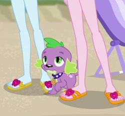 Size: 323x300 | Tagged: safe, derpibooru import, screencap, pinkie pie, rainbow dash, spike, spike the regular dog, dog, better together, equestria girls, forgotten friendship, cropped, feet, flip-flops, legs, pictures of legs, sandals, spike's dog collar