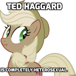 Size: 771x768 | Tagged: safe, applejack, earth pony, pony, blatant lies, caption, gay, image macro, liarjack, male, meme, scrunchy face, solo, ted haggard