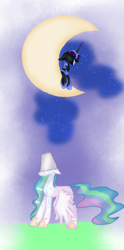 Size: 500x1006 | Tagged: safe, artist:161141, nightmare moon, princess celestia, alicorn, pony, bucket, female, grin, mare, moon, prank, tangible heavenly object, water, wet