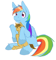 Size: 612x651 | Tagged: safe, artist:donlawride, derpibooru import, rainbow dash, oc, oc:swift sketch, pegasus, pony, plushie