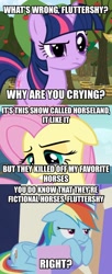 Size: 606x1490 | Tagged: safe, derpibooru import, screencap, fluttershy, rainbow dash, twilight sparkle, pegasus, pony, crying, homeland, horseland, hypocrisy, image macro, meme