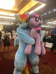 Size: 1001x1334 | Tagged: safe, artist:rogerdaily, derpibooru import, rainbow dash, twilight sparkle, human, clothes, convention, cosplay, costume, female, fursuit, irl, irl human, photo, ponysuit