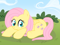 Size: 2000x1500 | Tagged: safe, artist:waise, fluttershy, pegasus, pony, female, mare, pink mane, solo, yellow coat