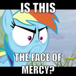 Size: 1200x1200 | Tagged: safe, derpibooru import, screencap, rainbow dash, pegasus, pony, do i look angry, face of mercy, image macro, meme, solo