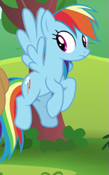 Size: 365x585 | Tagged: safe, derpibooru import, screencap, rainbow dash, pegasus, pony, non-compete clause, cropped, cutie mark, female, mare, wings