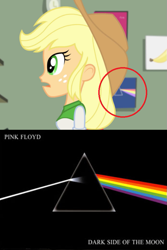 Size: 593x890 | Tagged: safe, screencap, applejack, a case for the bass, equestria girls, rainbow rocks, album cover, andy warhol, hipgnosis, pink floyd, the dark side of the moon, the velvet underground, the velvet underground & nico, wilco