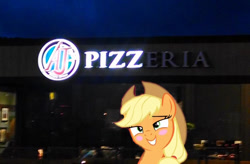 Size: 824x540 | Tagged: safe, applejack, earth pony, pony, aj's pizza, blushing, out of context, photo, pizza, solo