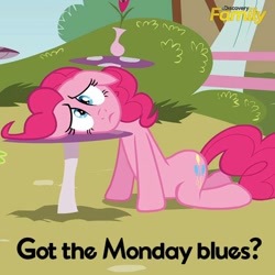 Size: 550x550 | Tagged: safe, edit, edited screencap, screencap, pinkie pie, earth pony, pony, too many pinkie pies, blue, cropped, discovery family, discovery family logo, frown, incorrect leg anatomy, looking at you, monday, official, outdoors, sad, solo, table, text
