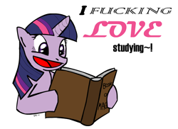 Size: 800x582 | Tagged: safe, artist:cythocalypse, derpibooru import, twilight sparkle, book, reading, solo, studying, vulgar