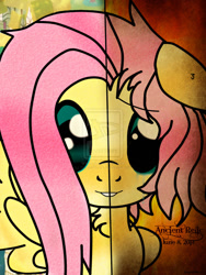 Size: 1024x1359 | Tagged: safe, artist:sakurafly101, butterscotch, fluttershy, pegasus, pony, poster, rule 63, watermark