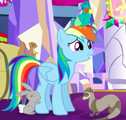 Size: 821x781 | Tagged: safe, derpibooru import, screencap, rainbow dash, bird, ferret, pegasus, pony, rabbit, squirrel, castle sweet castle, animal, awkward, cropped, female, mare, popinjay, sitting on head