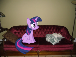 Size: 640x480 | Tagged: safe, derpibooru import, twilight sparkle, irl, photo, ponies in real life, solo