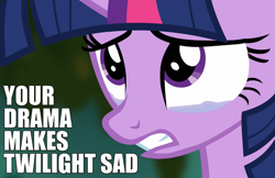 Size: 925x600 | Tagged: safe, derpibooru import, twilight sparkle, twilight sparkle (alicorn), alicorn, pony, princess twilight sparkle (episode), caption, crying, drama, image macro, meme, reaction image, sad, solo