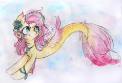 Size: 3709x2532 | Tagged: safe, artist:catseye-view, fluttershy, merpony, race swap, smiling, solo, traditional art, watercolor painting