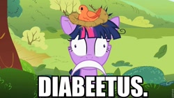 Size: 960x540 | Tagged: safe, derpibooru import, edit, edited screencap, screencap, twilight sparkle, lesson zero, cute, diabetes, image macro, inverted mouth, meme, solo, twiabeetus, wilford brimley