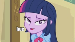 Size: 960x540 | Tagged: safe, derpibooru import, twilight sparkle, equestria girls, hue, huehuehue, image macro, solo