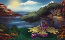 Size: 1280x800 | Tagged: safe, artist:valery-harkova, fluttershy, pegasus, pony, scenery, sitting, solo, spread wings