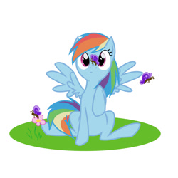 Size: 1000x1000 | Tagged: safe, artist:trinity-angel777, derpibooru import, rainbow dash, butterfly, pegasus, pony, flower, solo