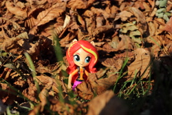 Size: 6000x4000 | Tagged: safe, artist:artofmagicpoland, sunset shimmer, equestria girls, autumn, doll, equestria girls minis, eqventures of the minis, leaves, solo, toy