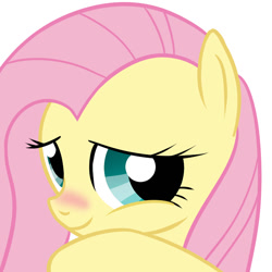 Size: 800x800 | Tagged: safe, artist:cordierite, fluttershy, pegasus, pony, blushing, bust, cute, female, mare, pixiv, portrait, shyabetes, simple background, solo, white background